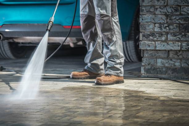 Best Winterizing Services  in Altadena, CA
