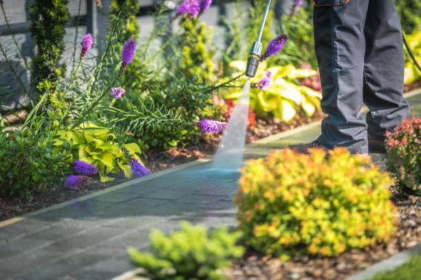 Best Driveway Pressure Washing  in Altadena, CA
