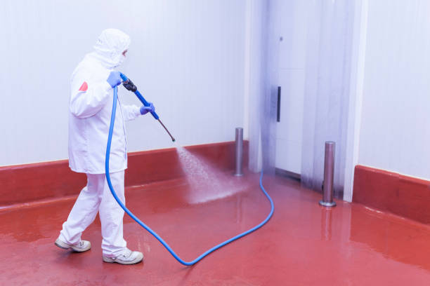 Best Boat and Dock Cleaning  in Altadena, CA